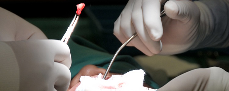 Oral and Maxillofacial Surgery